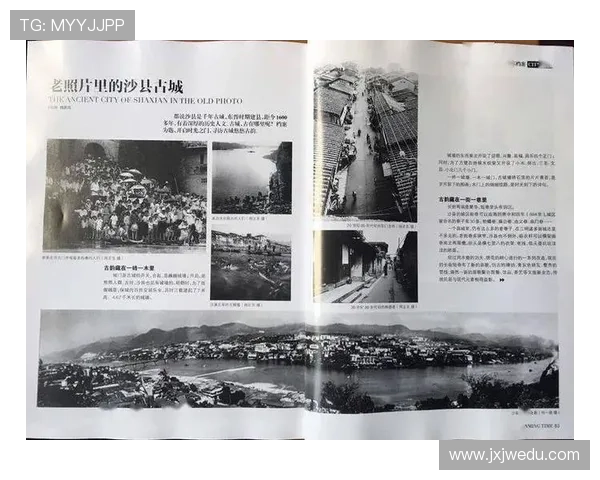 杭州排球队的辉煌征程与冠军赛背后的奋斗故事 杭州排球队的辉煌征程与冠军赛背后的奋斗故事
